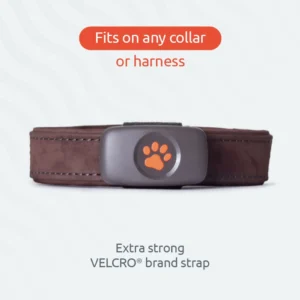 Fits on any collar or harness. Extra strong VELCRO brand strap