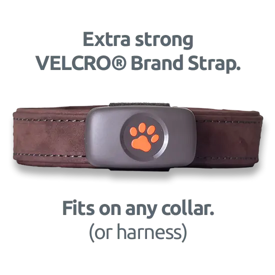 Extra strong VELCRO Brand Strap. Fits on any collar or harness