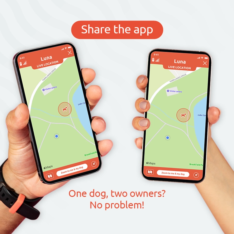 Share the app. One dog, two owners? No problem!
