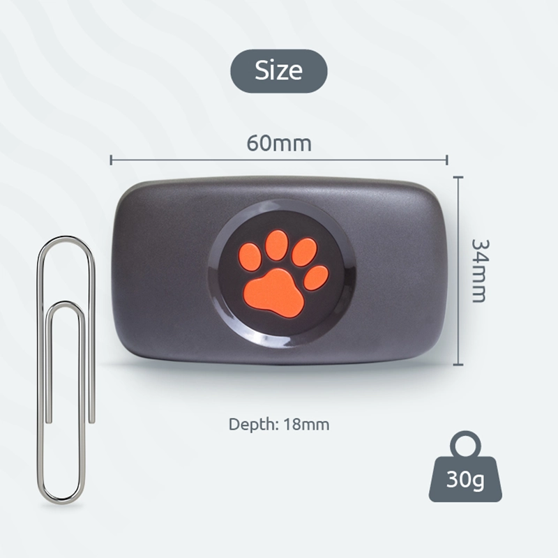 60mm wide, 34mm long, with 18mm depth.