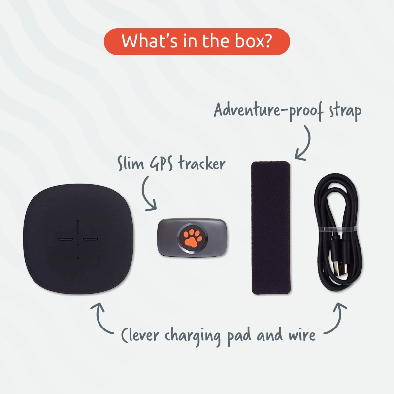 Slim GPS tracker, Adventure-proof strap and clever charging pad and wire.