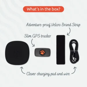 What's in the box? Adventure-proof Velcro Brand Strap, Slim GPS tracker, and clever charging pad and wire