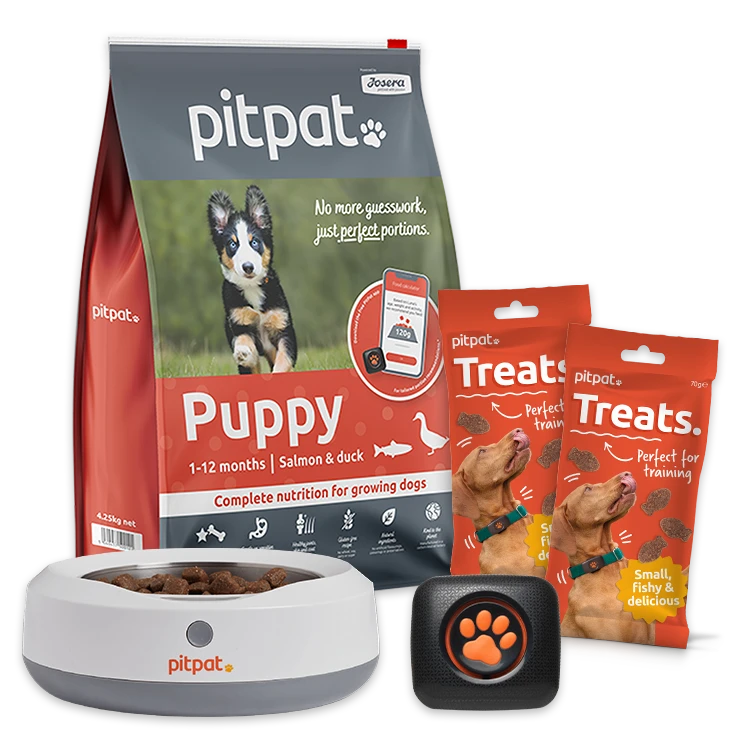 PitPat Activity Monitor Bundle. Includes, Dog Activity Monitor, Food, Weighing Bowl and two bags of treats
