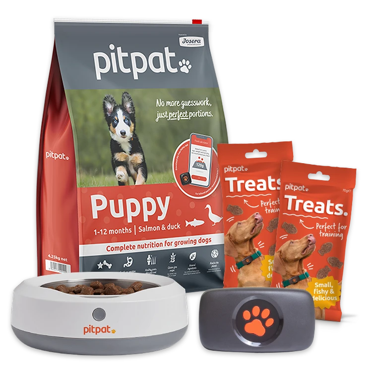 PitPat GPS Bundle. Includes, Dog GPS Tracker, Food, Weighing Bowl and two bags of treats