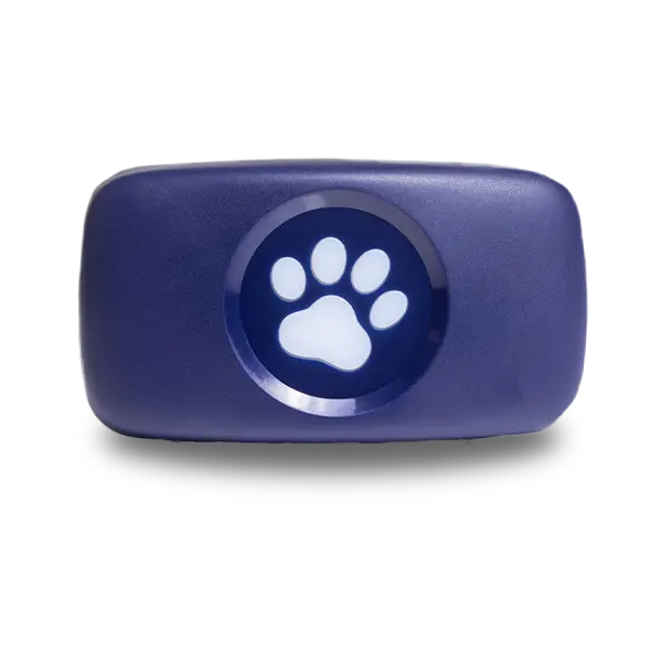 Blue PitPat Dog GPS Tracker