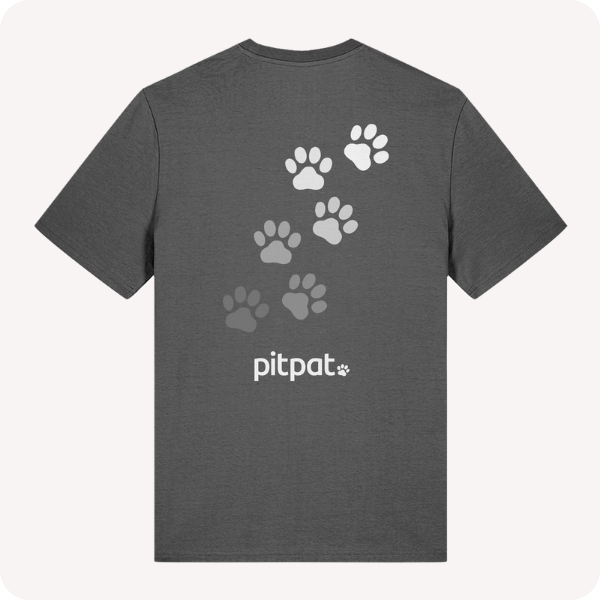 Website Merch (1)